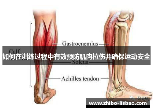 如何在训练过程中有效预防肌肉拉伤并确保运动安全